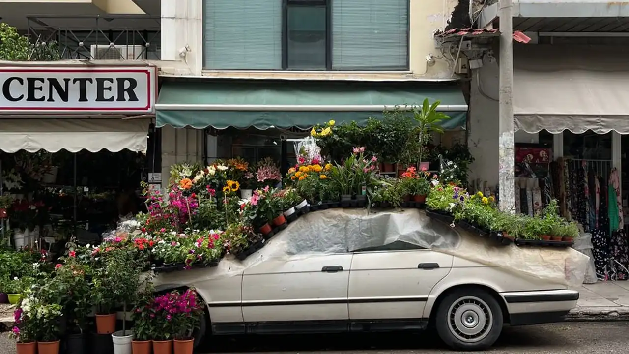 林心乐头像