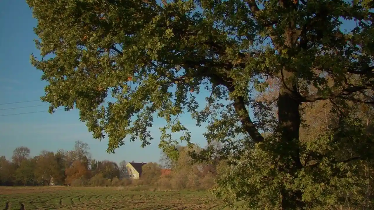 17c入口暗的实际使用场景与访问限制说明