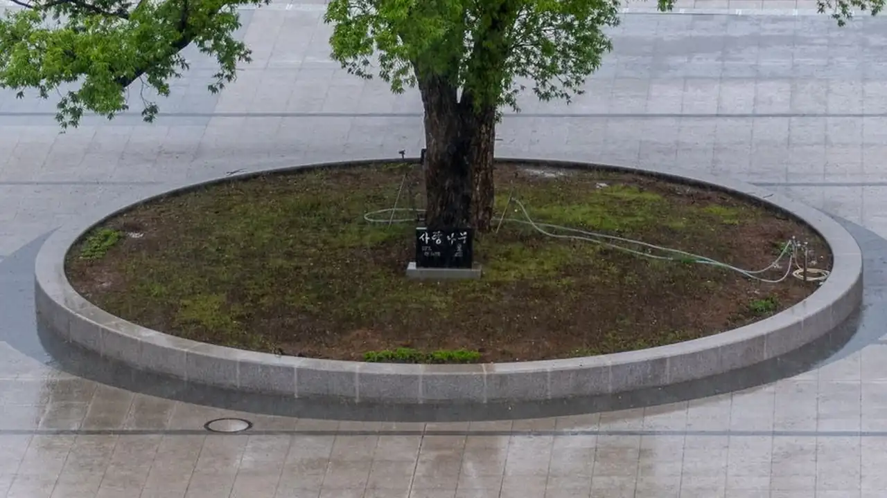 暗黑猎奇外网高清内容怎么找才安全？