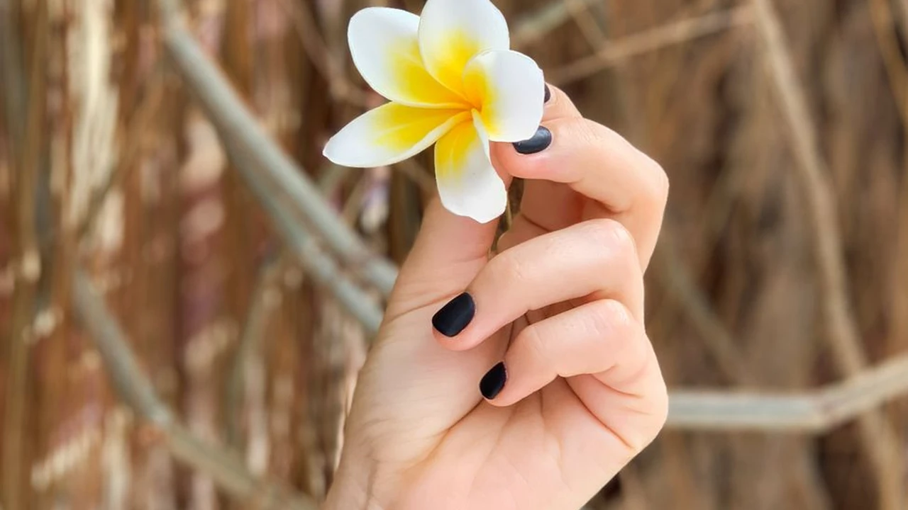 现在还有可以看黄的yy频道吗